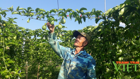 Hội Nông dân Lai Châu: Xứng đáng điểm tựa của nông dân