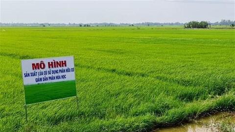 Bạc Liêu nhân rộng sản xuất nông nghiệp theo hướng hữu cơ