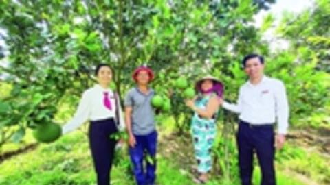 Đại Lộc phát huy tiềm năng tạo đột phá cho nông nghiệp, tạo giá trị hơn 1.500 tỷ đồng