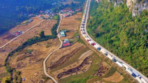 Sầu riêng chín rộ cùng nhiều nông sản xuất khẩu dồn về cửa khẩu Lạng Sơn
