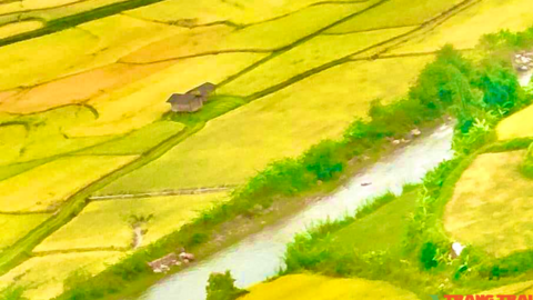 Tháng 9 về "miền quê cổ tích" trải nghiệm Lễ hội mừng cơm mới
