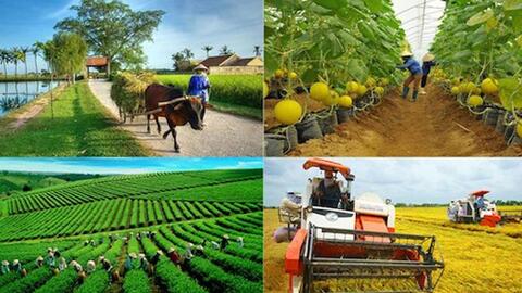 Giá trị xuất khẩu các mặt hàng ngành nghề nông thôn sẽ đạt trên 6,0 tỷ USD/năm, thu hút 5 triệu lao động thường xuyên