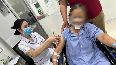 Chó nhà hàng xóm cắn, cụ bà phải khâu gần 70 mũi