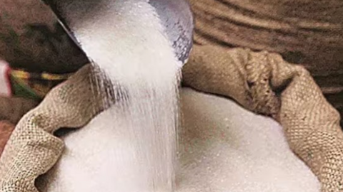 Dự báo thị trường đường toàn cầu thặng dư, giá đường sẽ biến động ra sao?