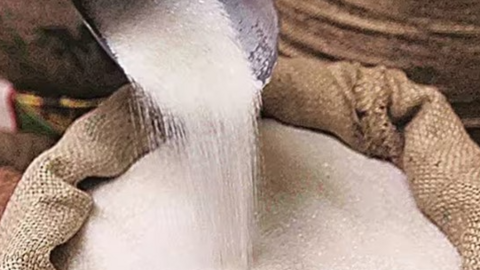Lo ngại về sản lượng cuối vụ, giá đường sẽ biến động mạnh về cuối năm?