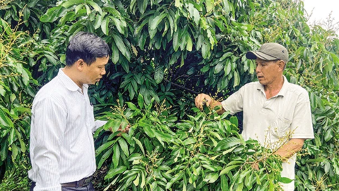 Ô Môn hỗ trợ nhà nông nâng cao giá trị sản phẩm nông sản 
