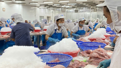 DN cần tăng cường giới thiệu sản phẩm, để đẩy mạnh XK cá tra sang Singapore