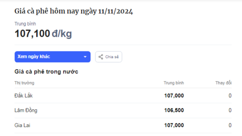 Một loạt các tỉnh Tây Nguyên nghe ngóng khi giá cà phê thế giới đồng loạt giảm hôm nay