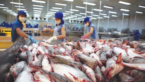 Tần suất điều tra phòng vệ gia tăng: Kích hoạt biện pháp bảo vệ hàng hoá xuất khẩu