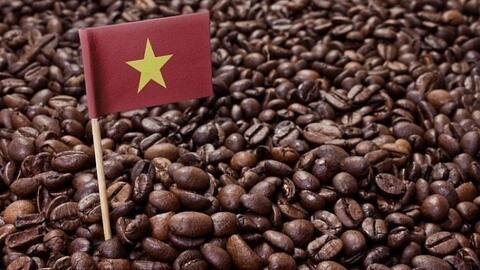 Vì sao thương hiệu cà phê Việt Nam vẫn thấp hơn thị trường thế giới?