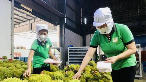 Xuất khẩu sang Trung Quốc: Bứt tốc từ lợi thế