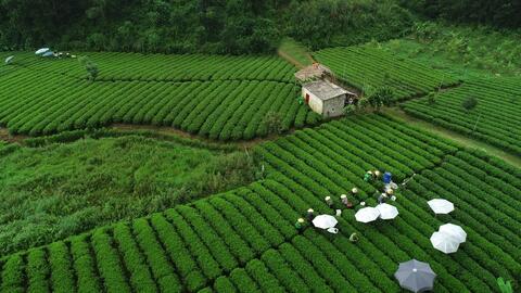 Doanh nghiệp nhỏ trước yêu cầu xuất xứ khi vào thị trường EU