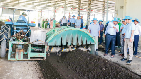 Phát huy hiệu quả sử dụng rơm rạ theo hướng tuần hoàn 