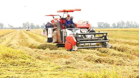 Nghị quyết 85/NQ-CP: Mở 'đòn bẩy' chính sách, đưa nông nghiệp vào Top 15 thế giới