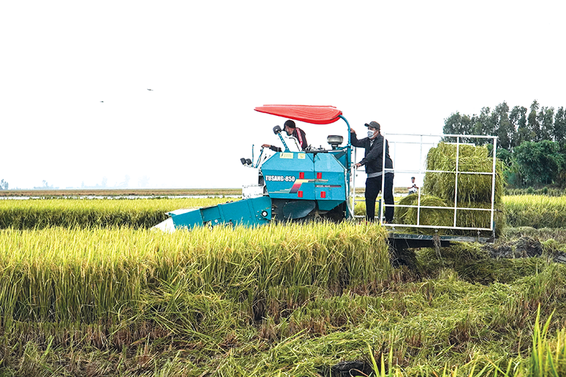 Cơ giới hóa nông nghiệp: Chìa khóa của tăng trưởng xanh 