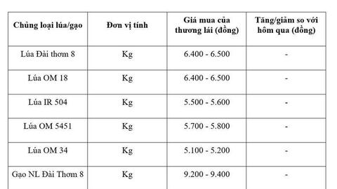 Giá lúa gạo hôm nay ngày 14/6/2026, tuần qua: Gạo xuất khẩu biến động