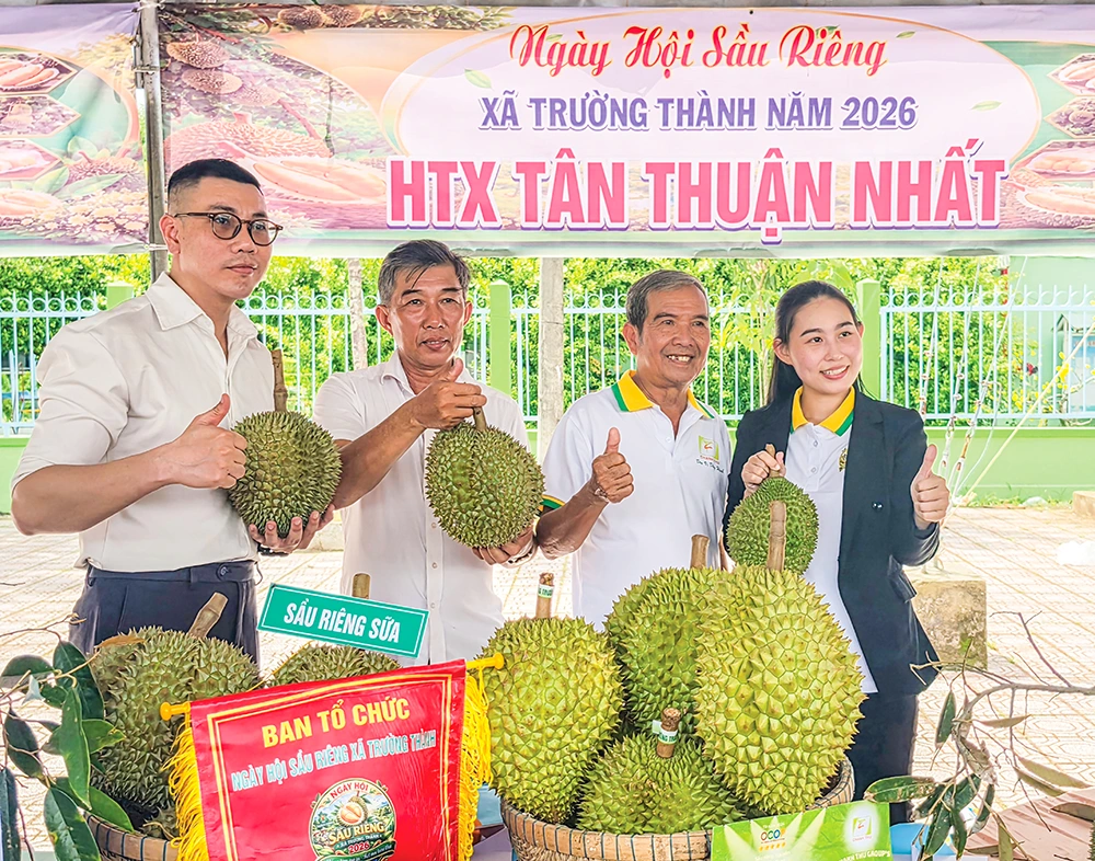 “Chuẩn hóa” vùng trồng, tự tin vươn ra biển lớn 