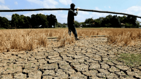 El Niño và cơ hội định vị lại lợi thế nông sản Việt Nam