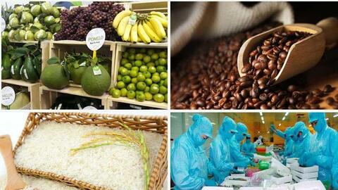 Tăng cường giám sát cộng đồng về an toàn thực phẩm nông lâm thủy sản