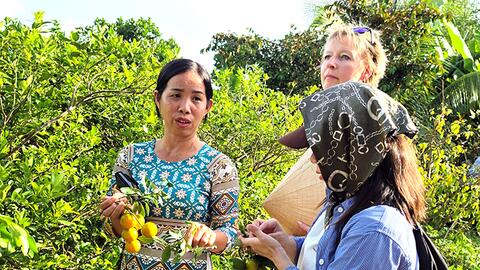 Phát triển sản xuất nông nghiệp gắn với bảo vệ môi trường nông thôn 