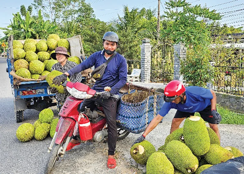 Dạo quanh thị trường ngày 15-7 