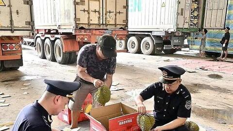 Kịp thời hỗ trợ, tạo thuận lợi cho hàng nông sản xuất khẩu