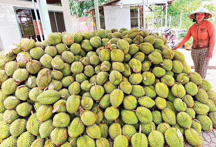 Dạo quanh thị trường