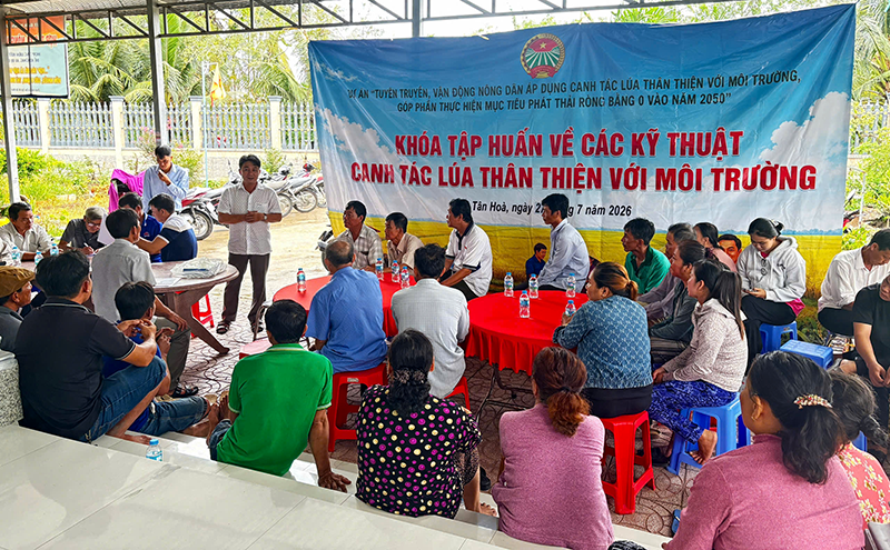 Tập huấn kỹ thuật canh tác lúa thân thiện với môi trường 