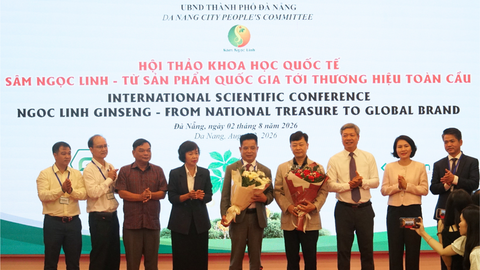 Tìm lời giải đưa Sâm Ngọc Linh thành thương hiệu toàn cầu