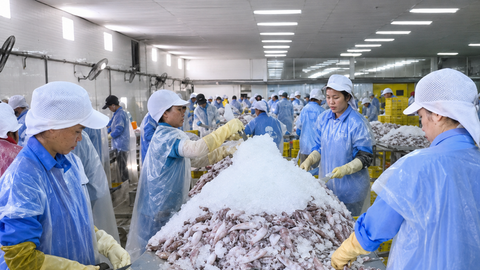 Hà Tĩnh tạo lực đẩy cho sản phẩm công nghiệp nông thôn
