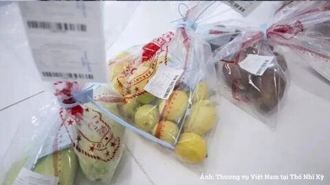 Thêm cơ quan được kiểm tra đối với sản phẩm nhập khẩu vào Thổ Nhĩ Kỳ