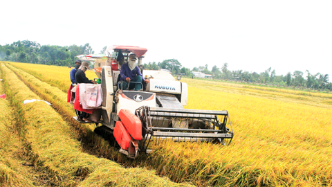Giá trị sản xuất khu vực nông, lâm nghiệp và thủy sản của xã Đông Hiệp được hơn 595,2 tỉ đồng  