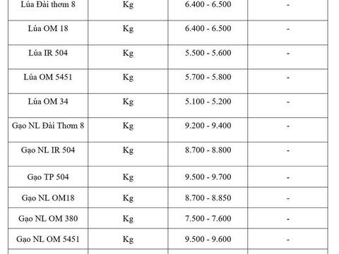 Giá lúa gạo hôm nay ngày 14/6/2026, tuần qua: Gạo xuất khẩu biến động