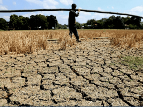 El Niño và cơ hội định vị lại lợi thế nông sản Việt Nam