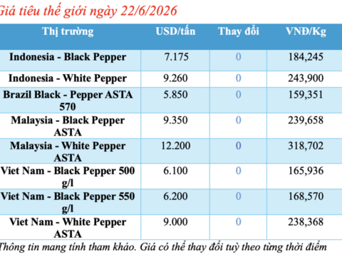 Giá tiêu hôm nay 22/6/2026: Quanh mốc 136.000 - 138.000 đồng/kg
