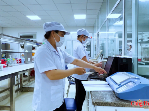 Gia Lai: Chế biến, chế tạo tiếp tục dẫn dắt tăng trưởng công nghiệp