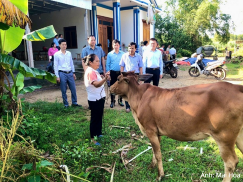 Nghệ An: Đột phá sinh kế nông nghiệp - Tầm nhìn đa chiều, giảm nghèo bền vững