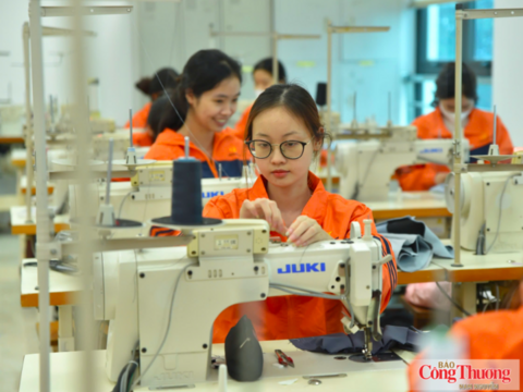 Nâng cao năng lực tuân thủ: 'Chìa khóa' để doanh nghiệp nhỏ và vừa tận dụng CPTPP