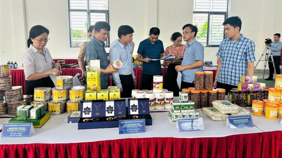 Hà Tĩnh: Bình chọn sản phẩm công nghiệp nông thôn tiêu biểu năm 2025