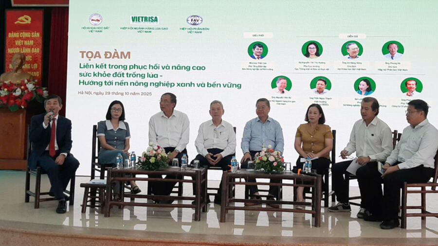 Đất lúa khỏe, chìa khóa nâng cao chất lượng và sức cạnh tranh gạo Việt