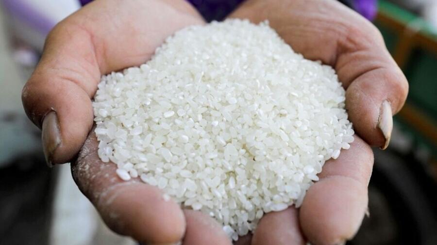 Gạo Việt xoay chuyển linh hoạt giữa áp lực thị trường quốc tế