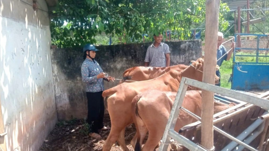 Khai thác hiệu quả lợi thế vật nuôi, góp sức giảm nghèo bền vững ở miền Tây Nghệ An