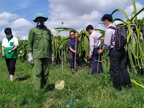 Tiến hành lấy mẫu đất tại Bình Thuận.