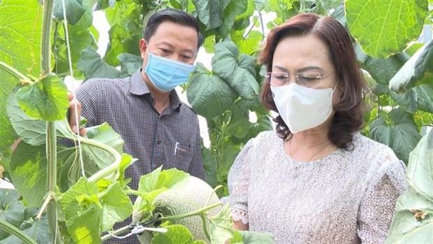 Nong dan Bac Lieu chuyen doi san xuat gan voi ung dung cong nghe cao hinh anh 1