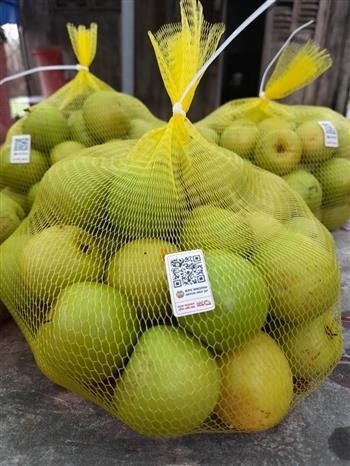 Nong dan Bac Lieu chuyen doi san xuat gan voi ung dung cong nghe cao hinh anh 5