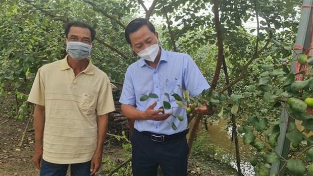 Nong dan Bac Lieu chuyen doi san xuat gan voi ung dung cong nghe cao hinh anh 2