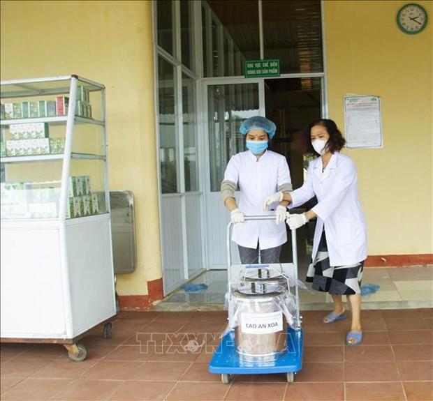 Quảng Trị phát triển cây dược liệu tiềm năng hình ảnh 4 Quang Tri phat trien cay duoc lieu tiem nang hinh anh 4