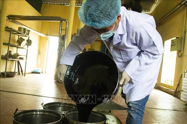 Quảng Trị phát triển cây dược liệu tiềm năng hình ảnh 3 Quang Tri phat trien cay duoc lieu tiem nang hinh anh 3