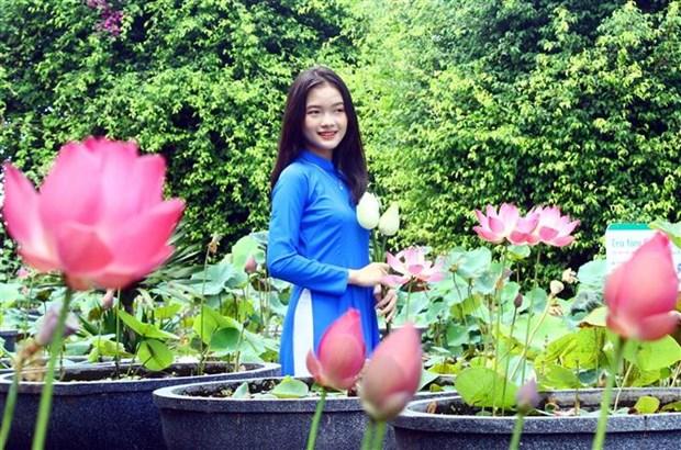 Phát triển cây sen thành sản phẩm đặc trưng trên quê hương Bác hình ảnh 2 Phat trien cay sen thanh san pham dac trung tren que huong Bac hinh anh 2