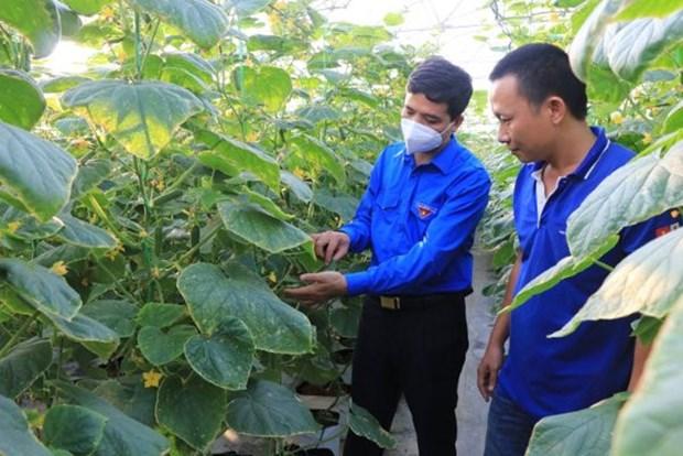 Anh Bui Xuan Que khoi nghiep tu nong nghiep cong nghe cao hinh anh 1